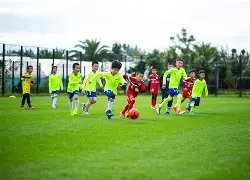 伊萬率艾克,森抵新加坡,攻城心切流,500足球比分,500比分官网,500体育,500网页版,500app下载电脑版